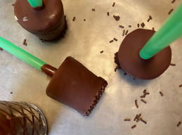 Mint Ice Cream Pops with Chocolate Shell