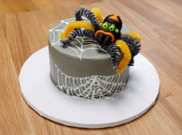 Webbed Spider Cake
