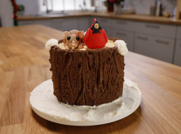 Winter Tree Stump Cake